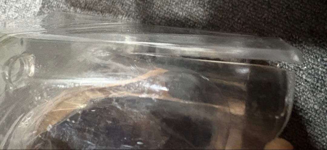 デフォリアル　ゴジラ 1999　少年リック限定版