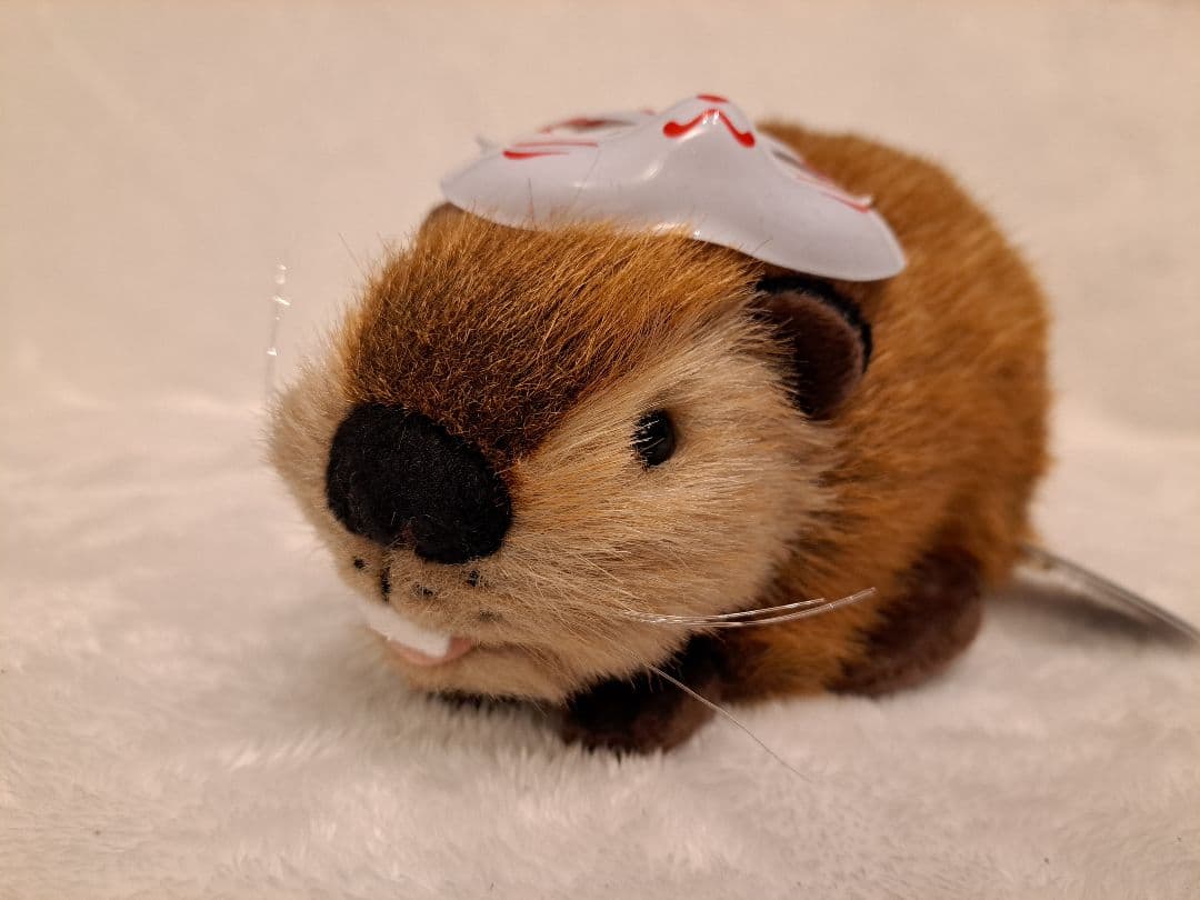 SUPER BEAVER スーパービーバーちゃん　燦然お面付き　ぬいぐるみ