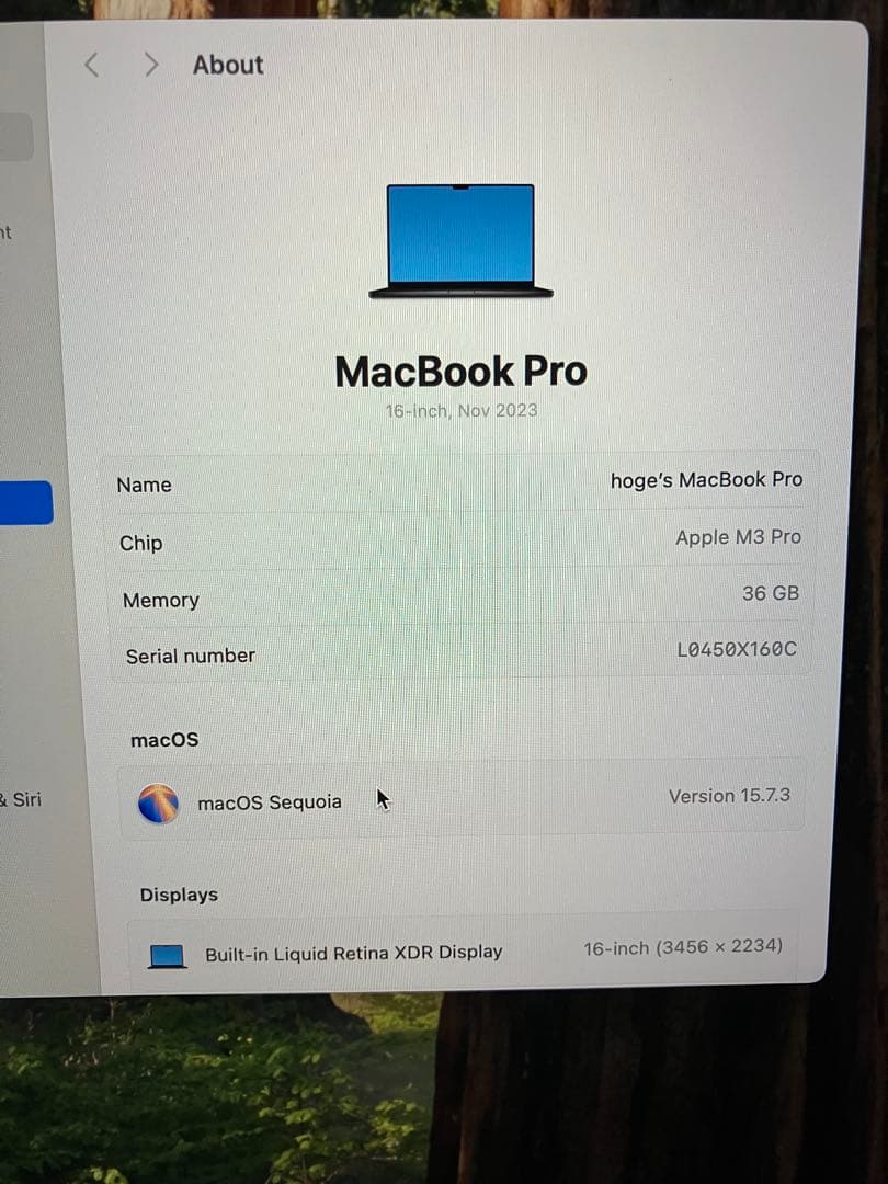 MacBook Pro M3 Pro 16インチ 36GB 512GB USキー