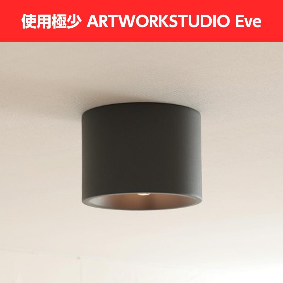 ARTWORKSTUDIO Eve ceiling light イブシーリング