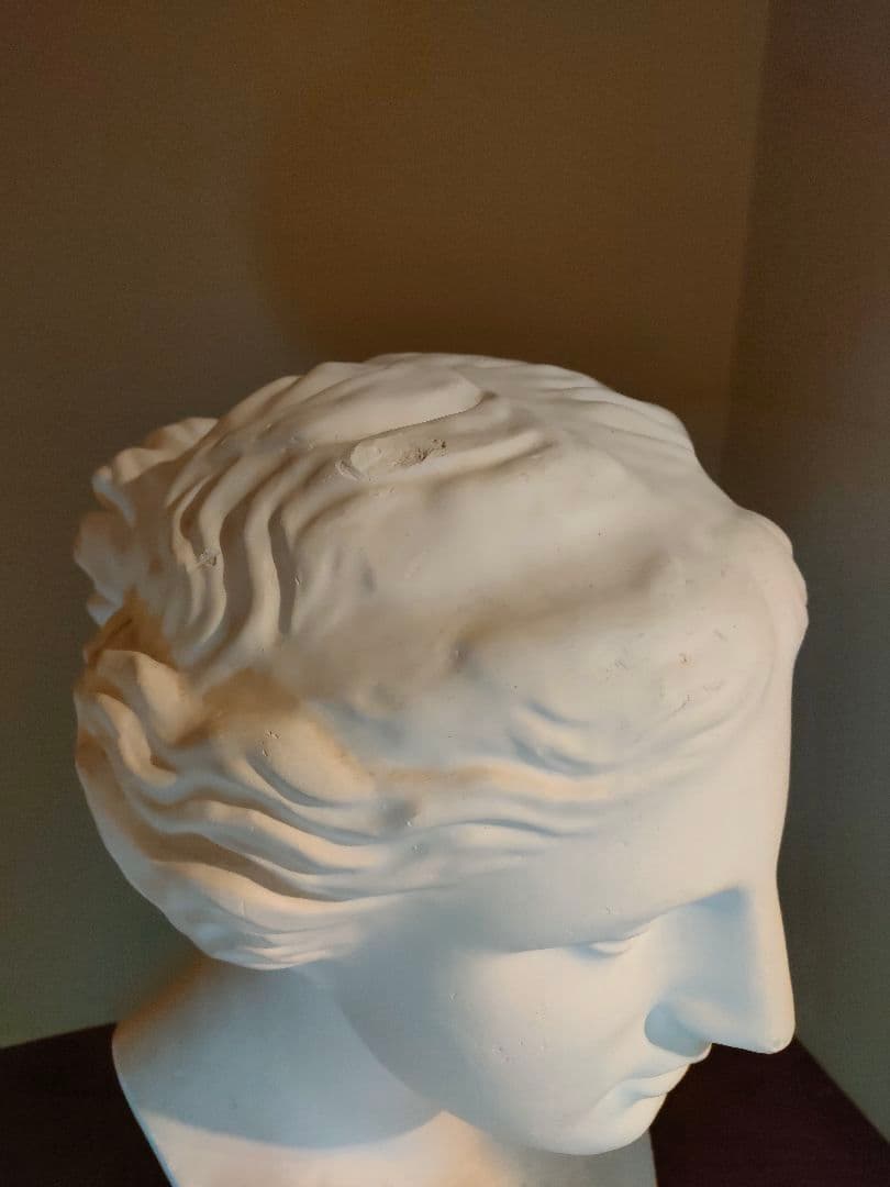 ミロのヴィーナス石膏像