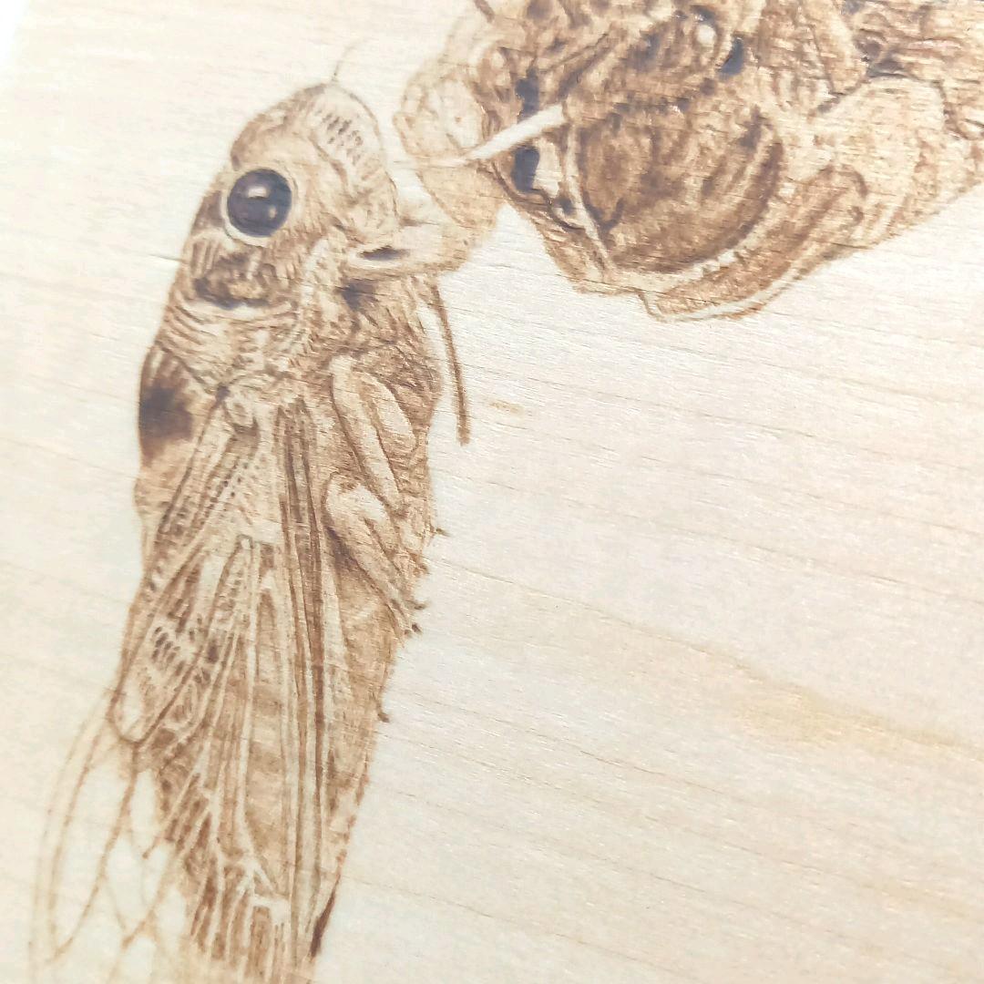 〖殻を破って、日光浴♪︎〗ウッドバーニング(焼き絵)
