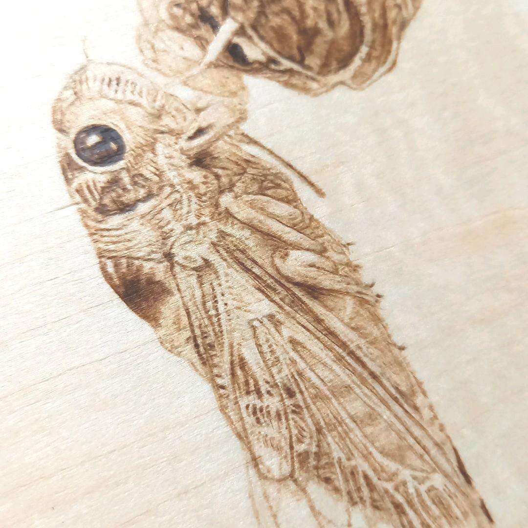 〖殻を破って、日光浴♪︎〗ウッドバーニング(焼き絵)