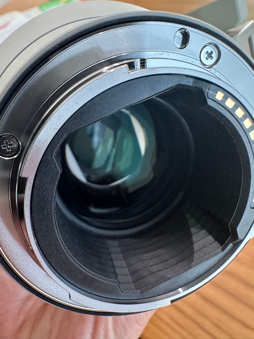 【極美品】SONY FE 70-200mm F2.8 GM OSS II