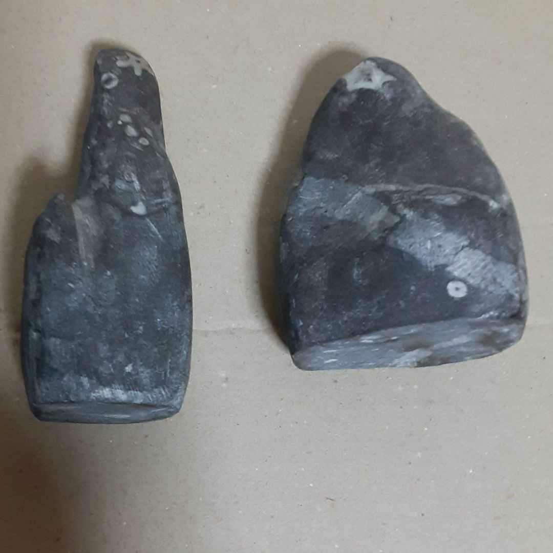 門司の梅花石　2個　(値下げしました！)