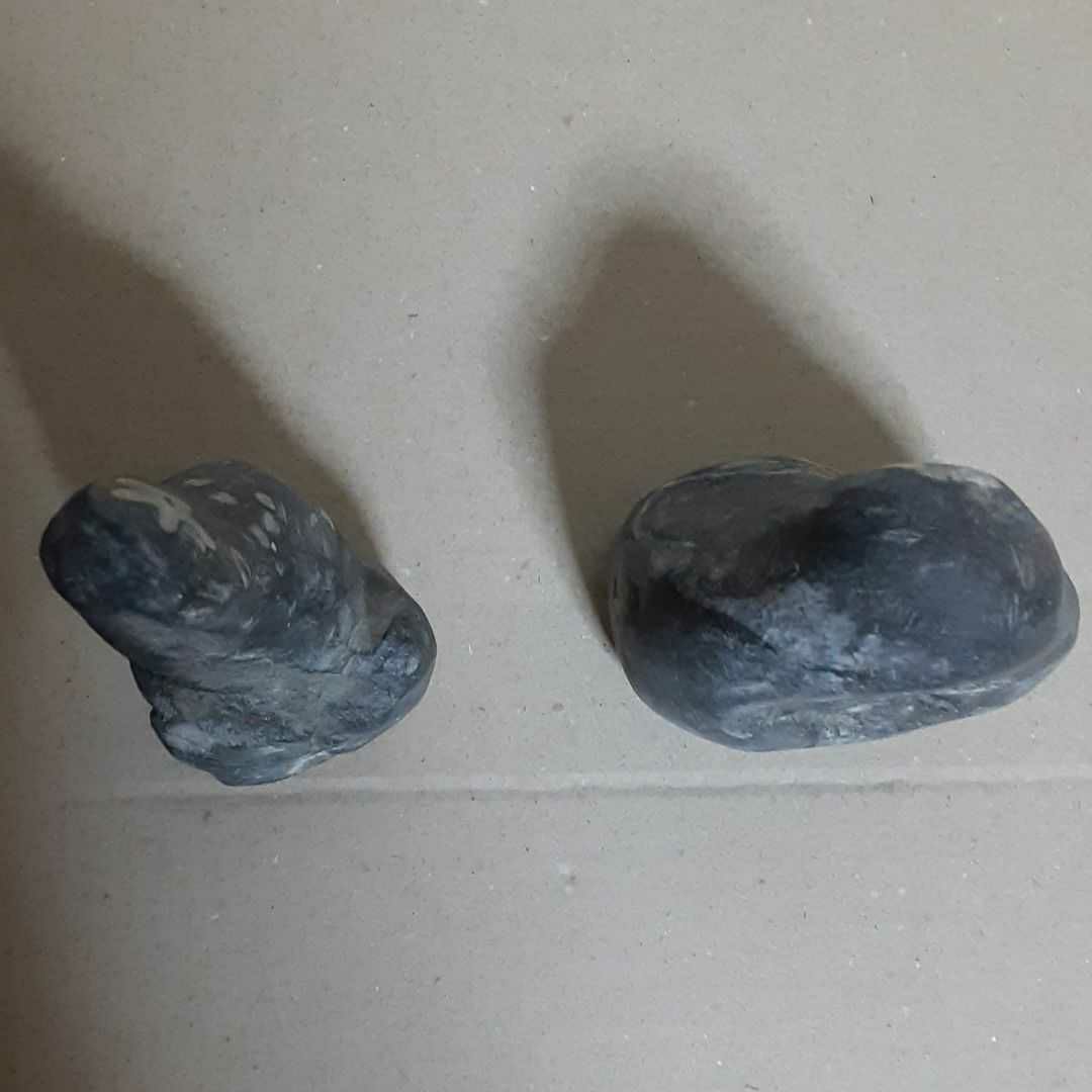 門司の梅花石　2個　(値下げしました！)