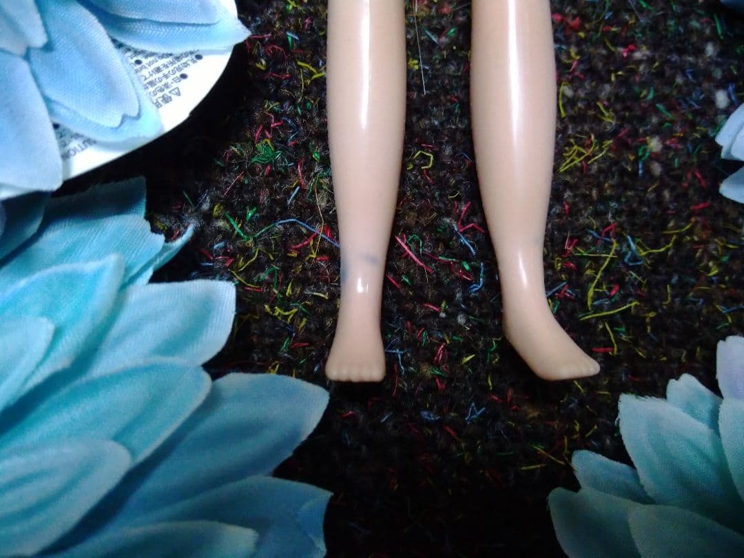 *カスタムブライス　洋服2着とウイッグ付き