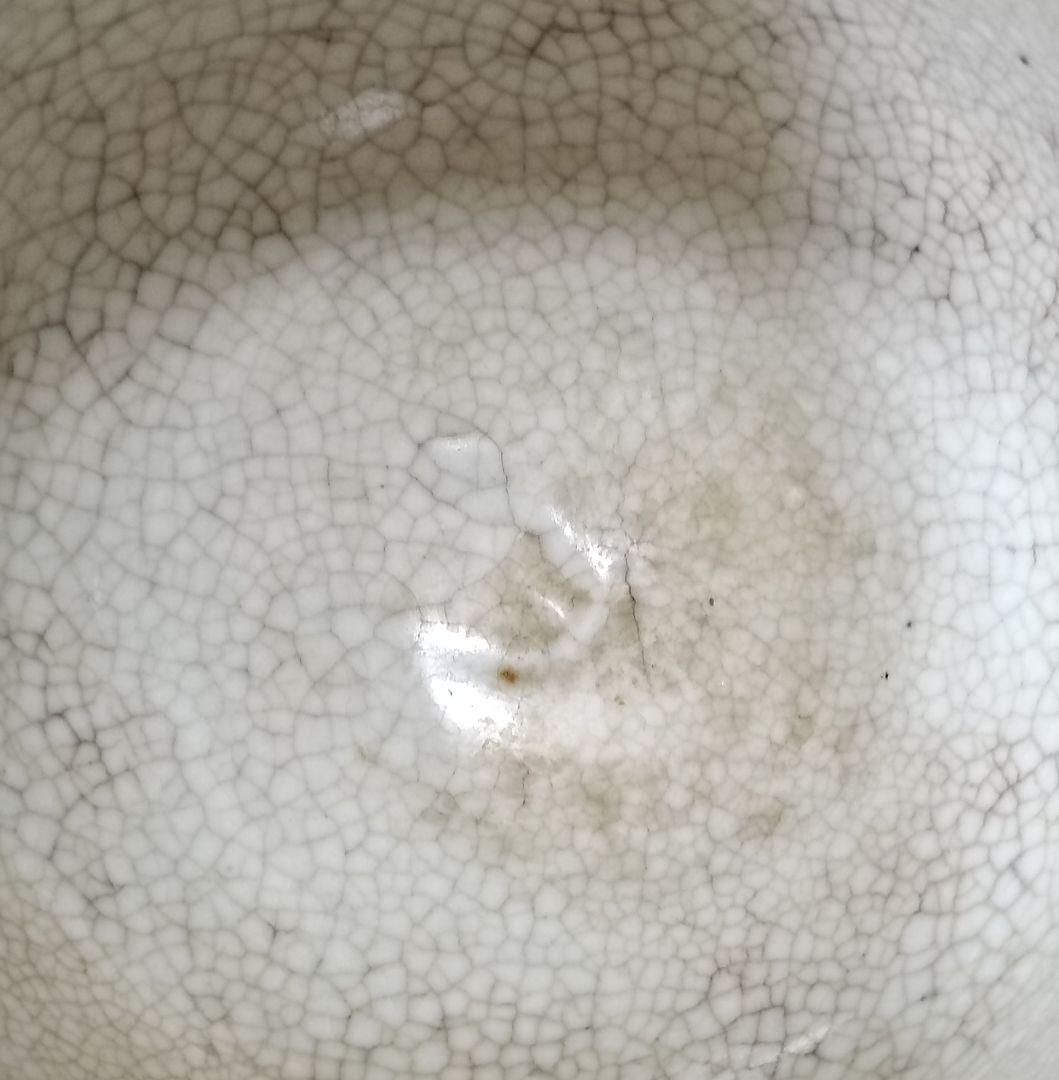 絵志野　志野鉢　古志野　志野焼鉢　鉢