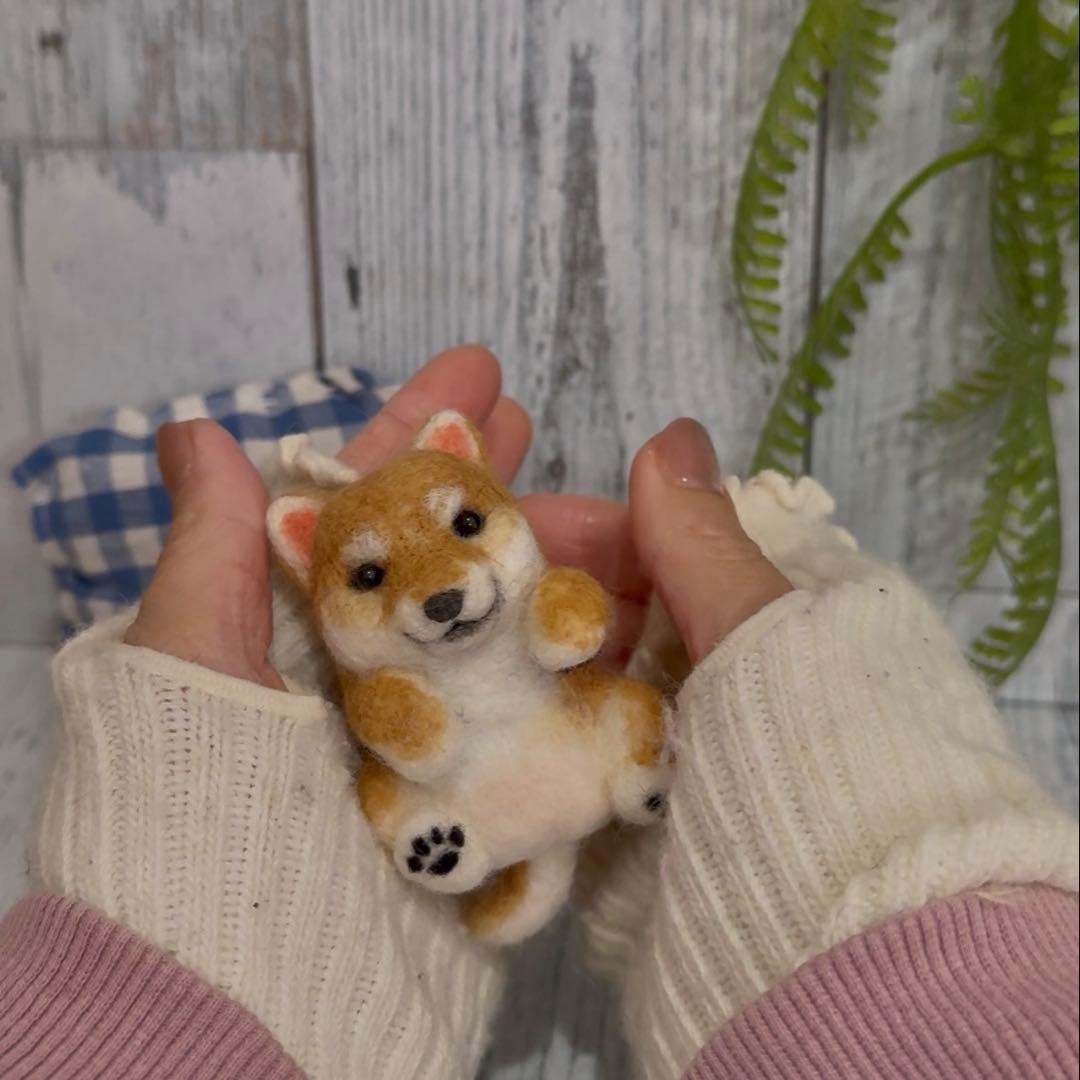 ハナ　　まんまる柴犬　へそてん　柴犬　ペット　犬　わんこ　羊毛フェルト