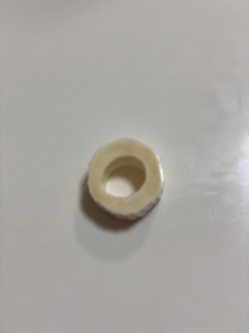 ウニコール　一角　鯨牙　送料無料