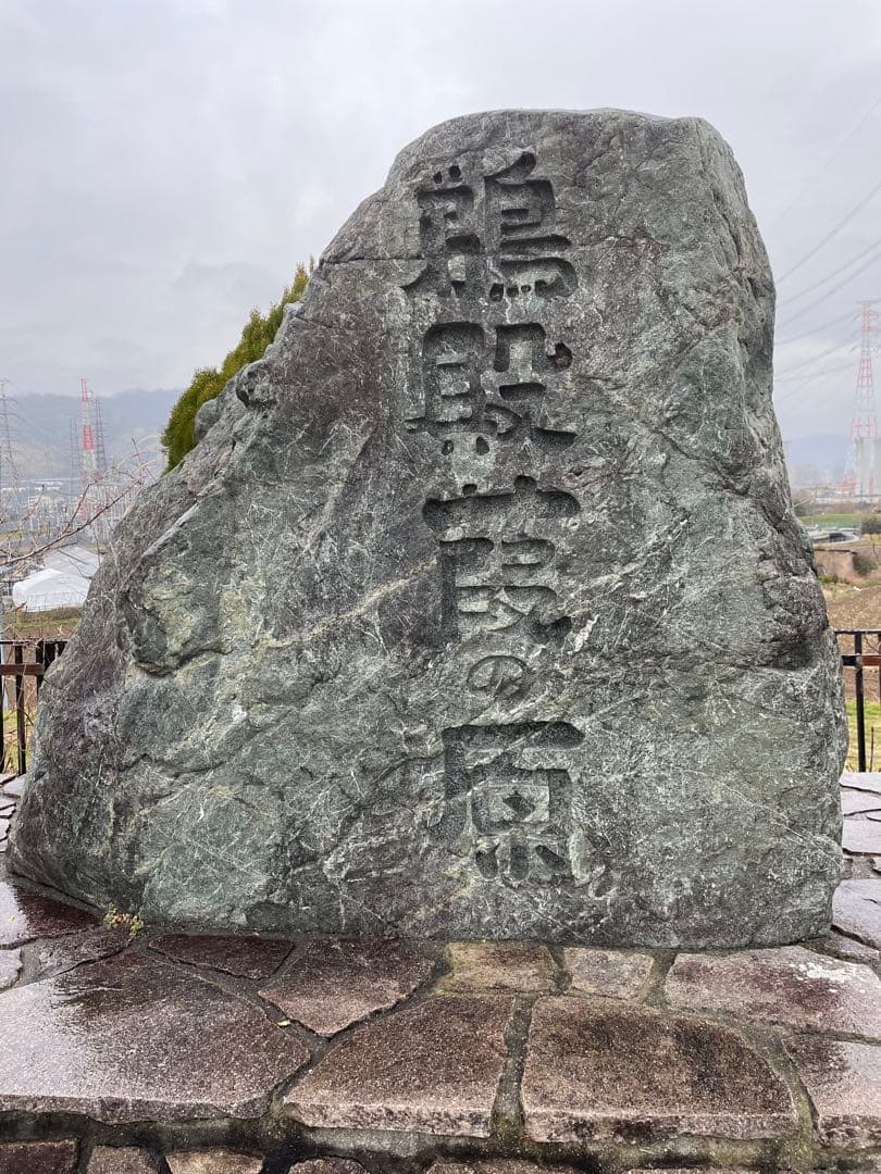 篳篥用リード 《極み》※即戦力