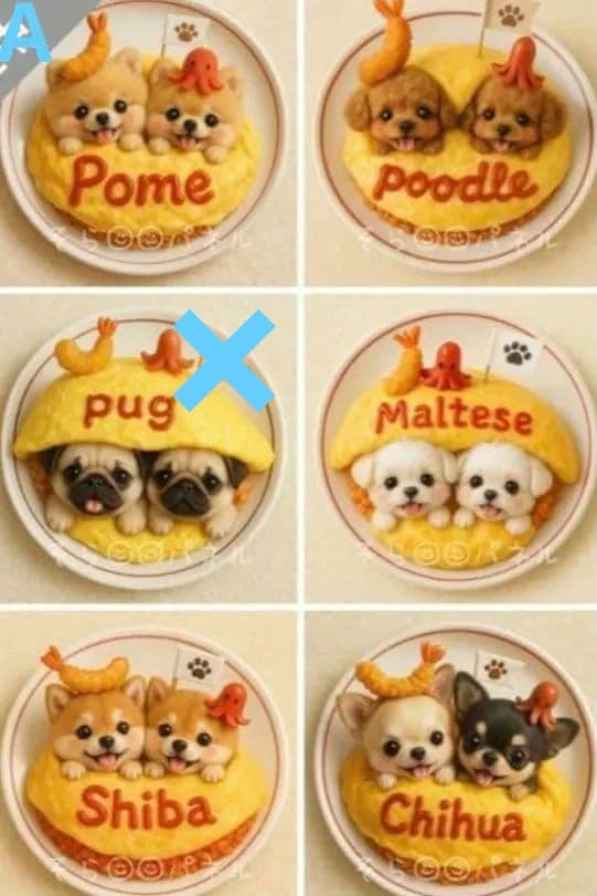 【♥️オーダーページ♥️】