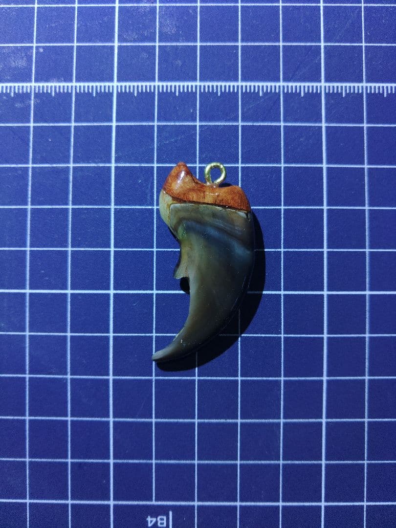 熊の爪アクセサリー