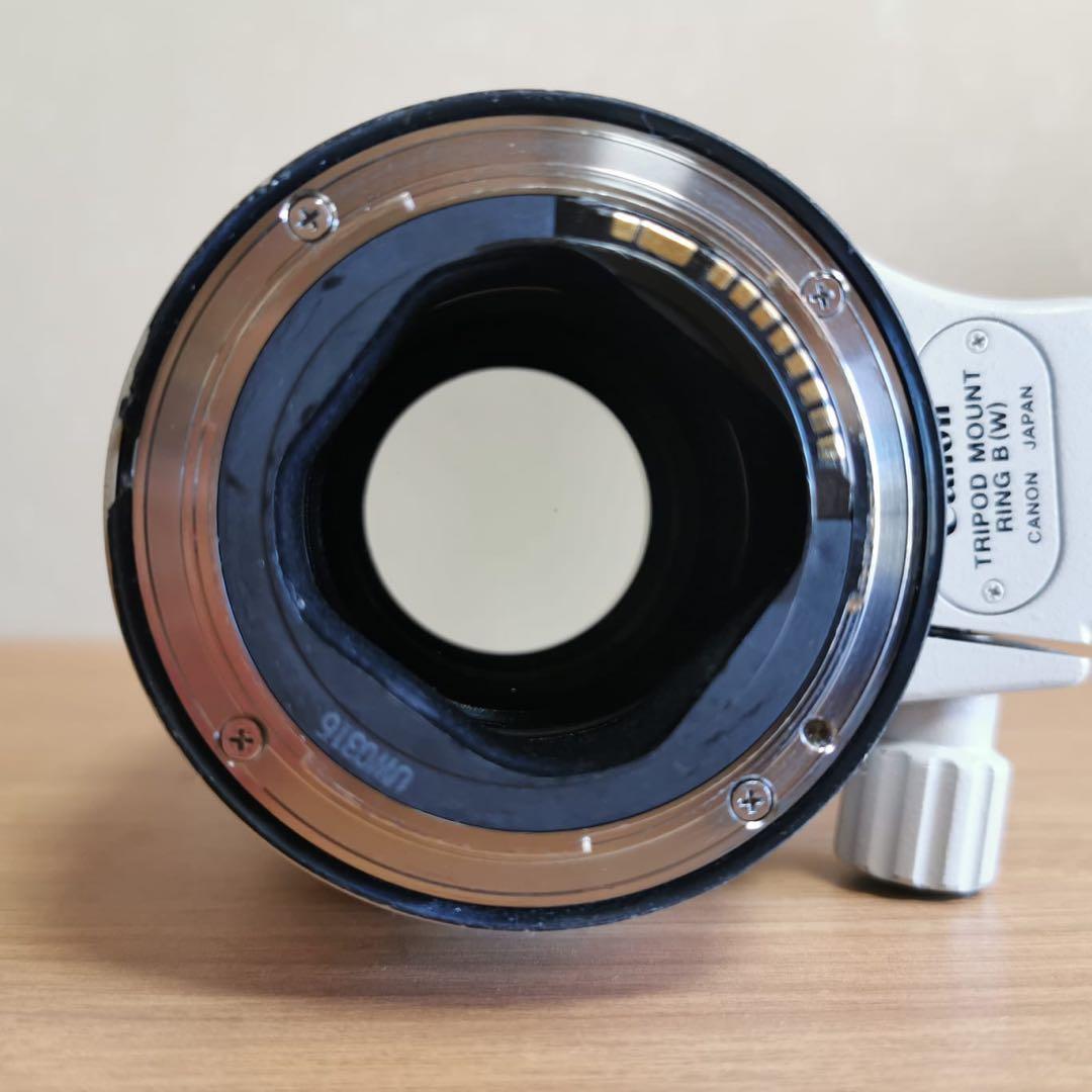 Canon 70-200mm f/2.8 望遠ズームレンズ キャノン