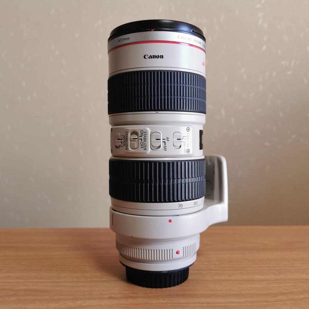 Canon 70-200mm f/2.8 望遠ズームレンズ キャノン