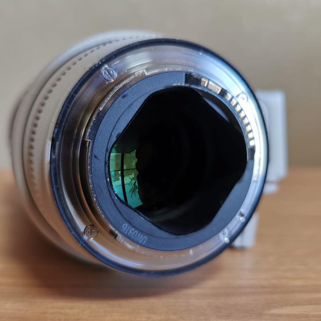 Canon 70-200mm f/2.8 望遠ズームレンズ キャノン