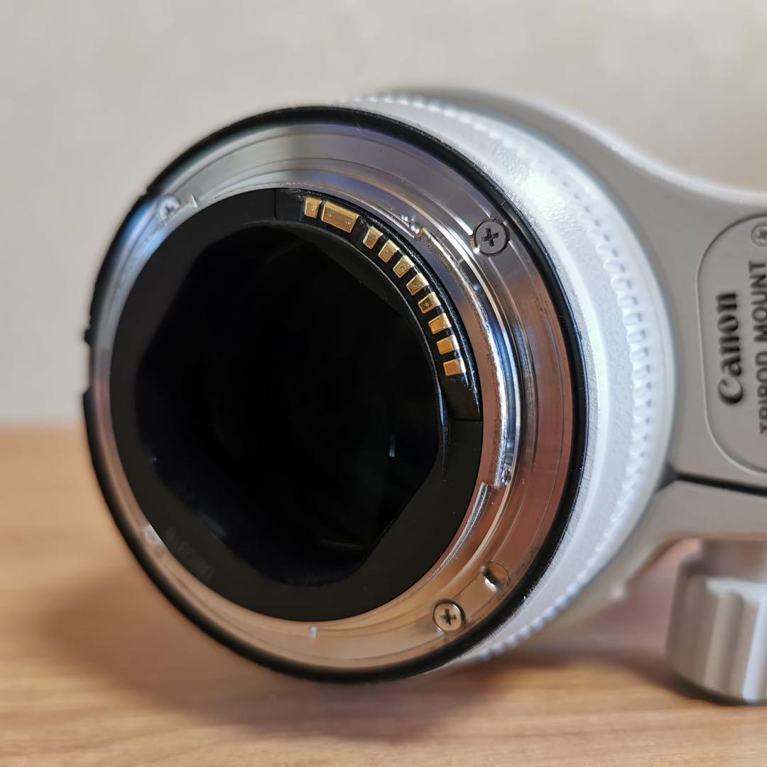 Canon 70-200mm f/2.8 望遠ズームレンズ キャノン
