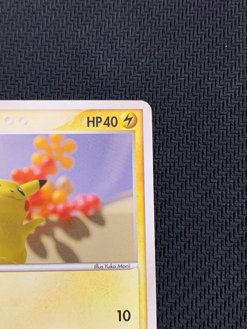 ポケパークのピカチュウ meiji ピカチュウ PROMO 2枚セット