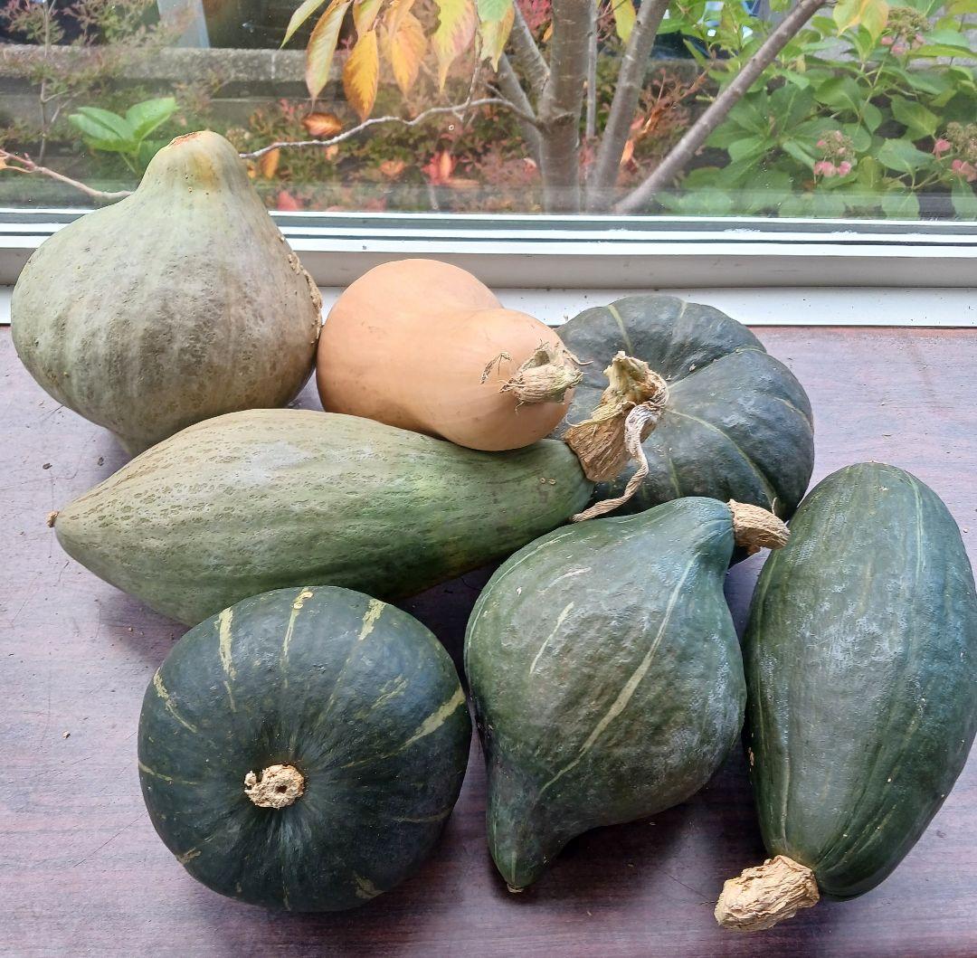 オーダー専用のページです～ちばちゃんの安心♡元気な 果樹の枝、野菜の種・苗