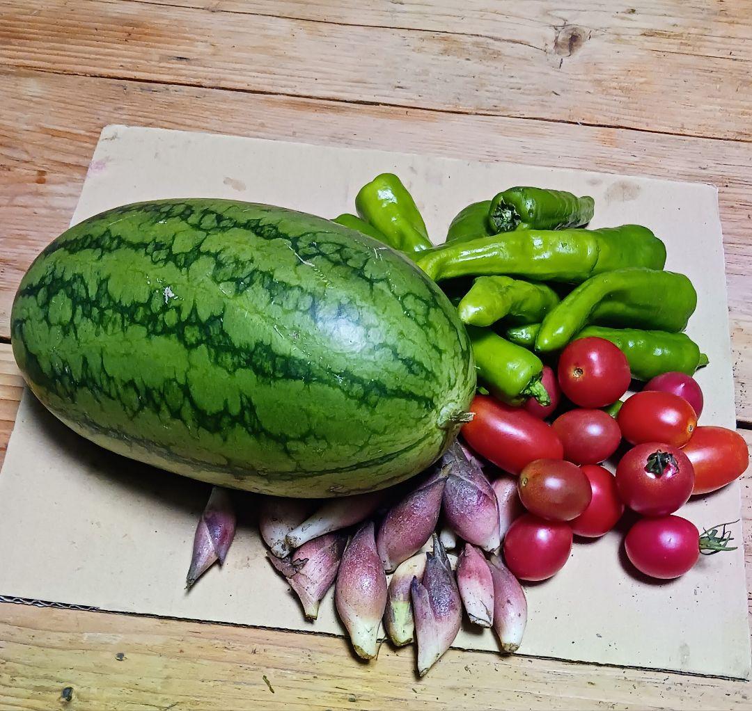 オーダー専用のページです～ちばちゃんの安心♡元気な 果樹の枝、野菜の種・苗