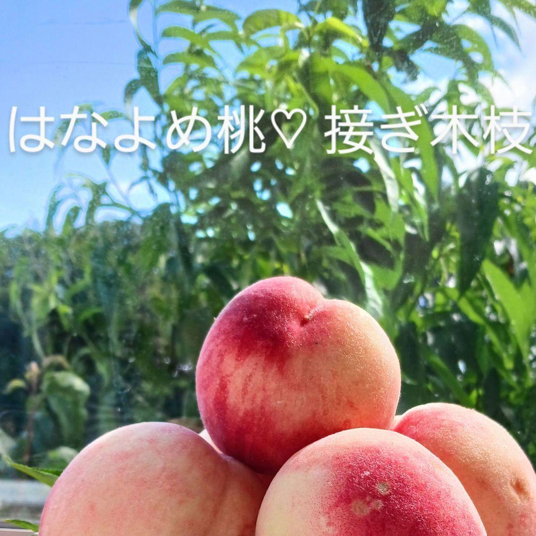 オーダー専用のページです～ちばちゃんの安心♡元気な 果樹の枝、野菜の種・苗