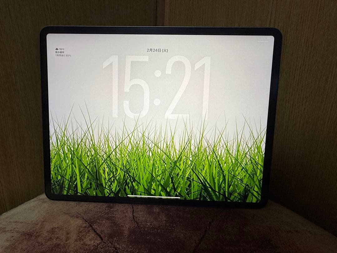 12.9インチ iPad Pro 256GB 第4世代 最大容量93%