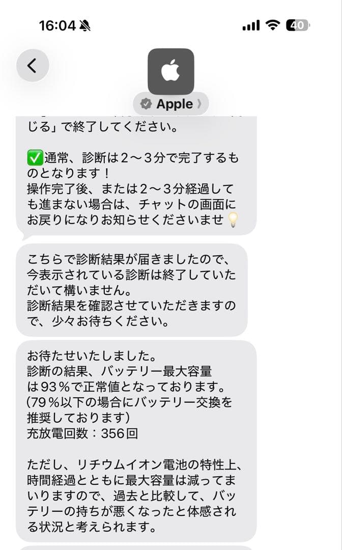 12.9インチ iPad Pro 256GB 第4世代 最大容量93%