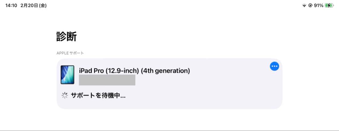 12.9インチ iPad Pro 256GB 第4世代 最大容量93%