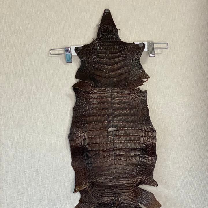 ワニ革1匹丸々 120×25cm 1.0mm厚