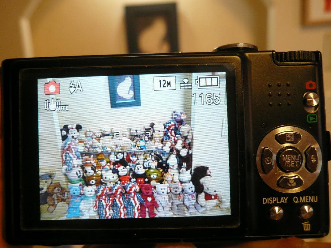 LUMIX★DMC-FX40⭕️箱入完品⭕️安心実働品★ブラック