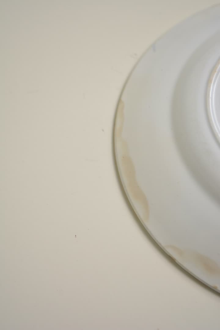 フランス サンタマン ディナープレート