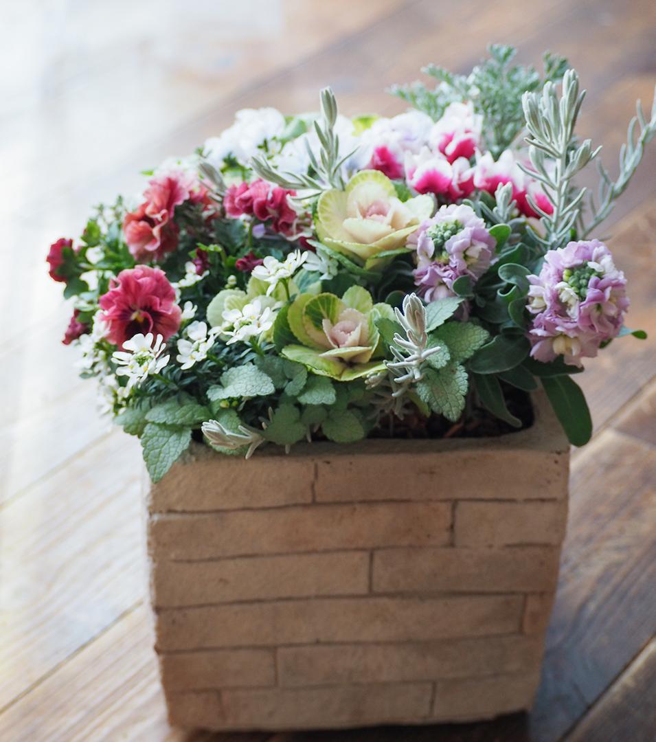 ayakaママオーダーページ