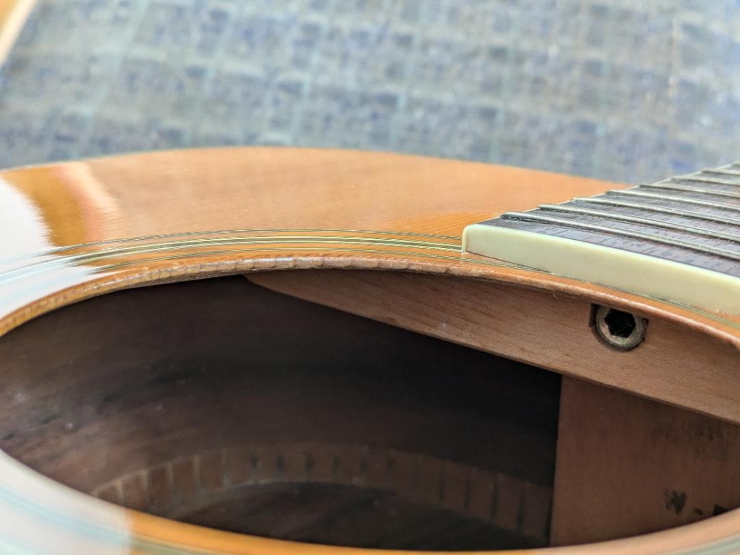 Morris TF W-50 アコースティックギター モーリス　ハードケース付き