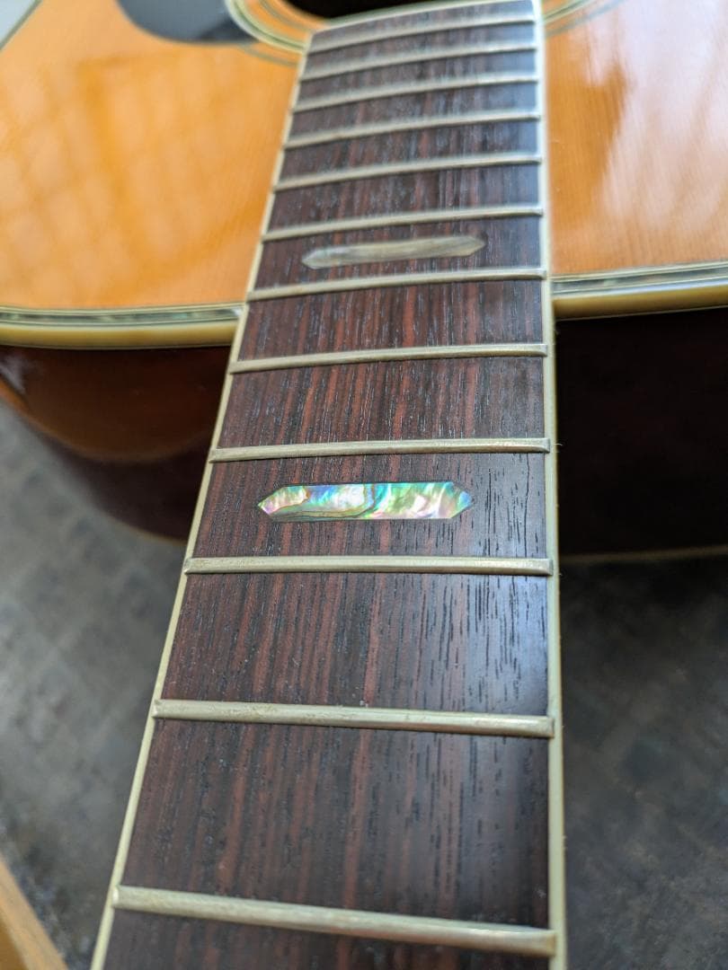 Morris TF W-50 アコースティックギター モーリス　ハードケース付き