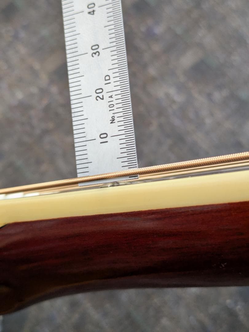 Morris TF W-50 アコースティックギター モーリス　ハードケース付き