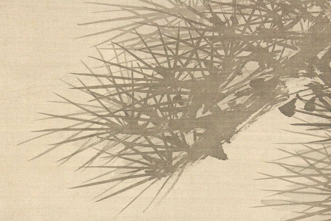 No5366 掛軸　鈴木松年　老松図　絹本　日本画　絵画　古画　古美術　送料無料