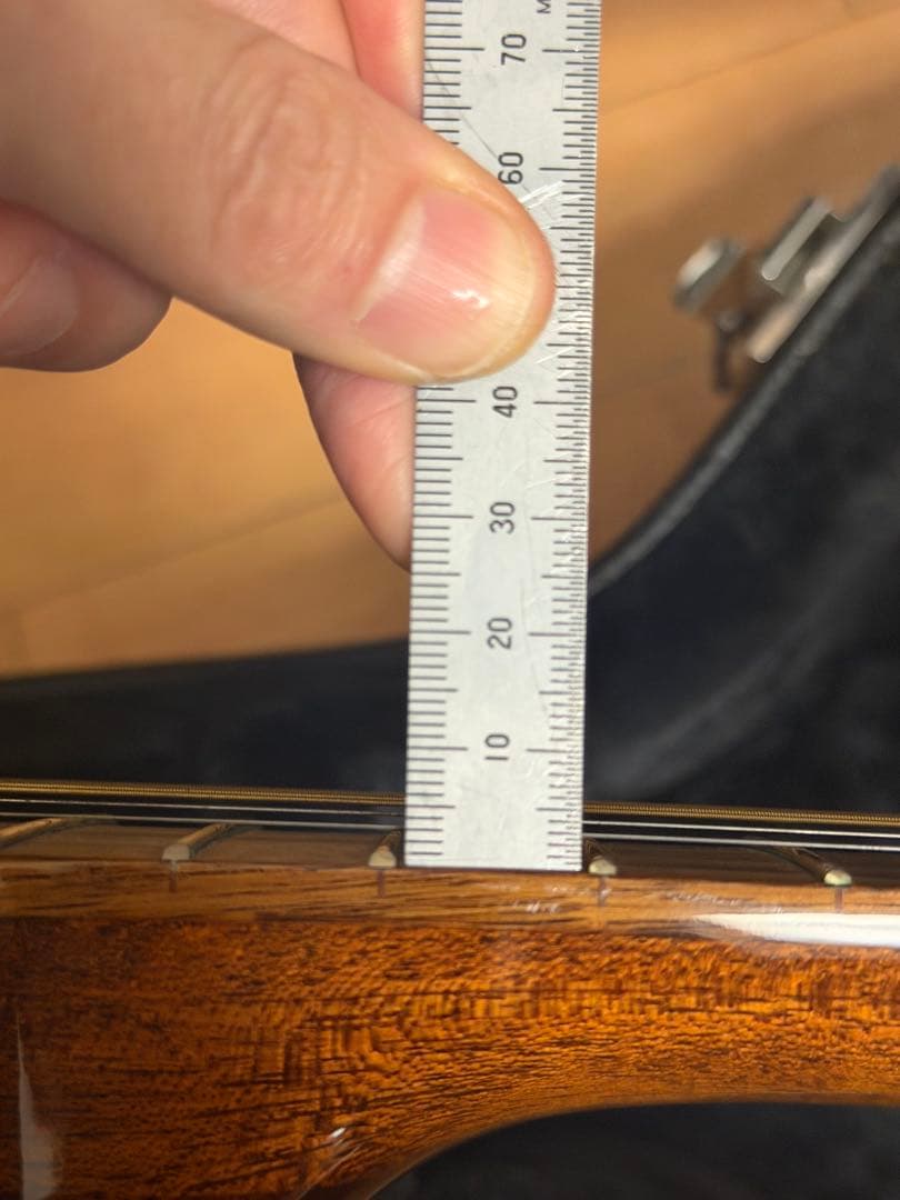 ギター farida OT-22 E VBS