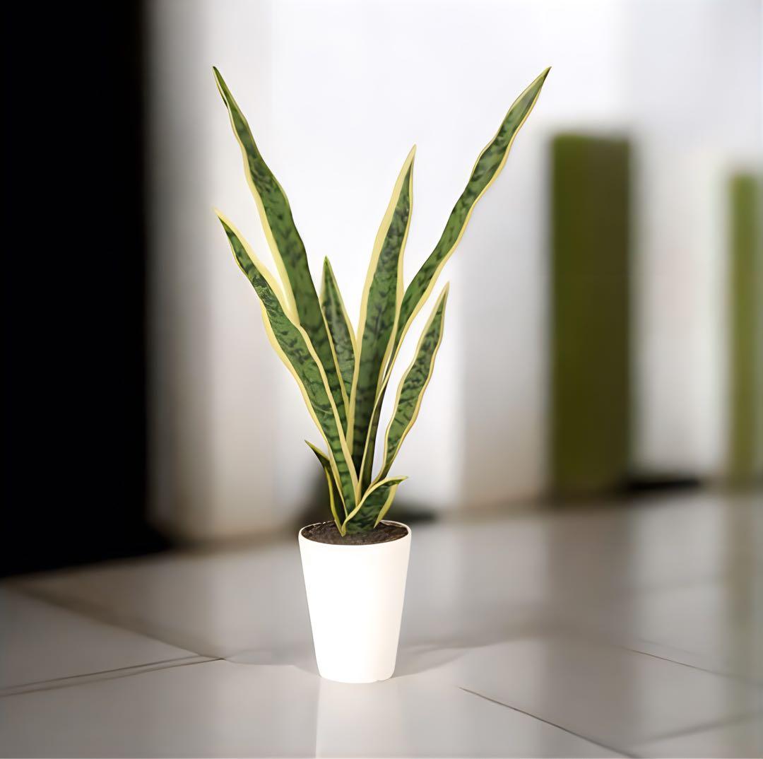 光触媒　人工観葉植物　ウォールグリーン　フェイクグリーン　サンスベリア65