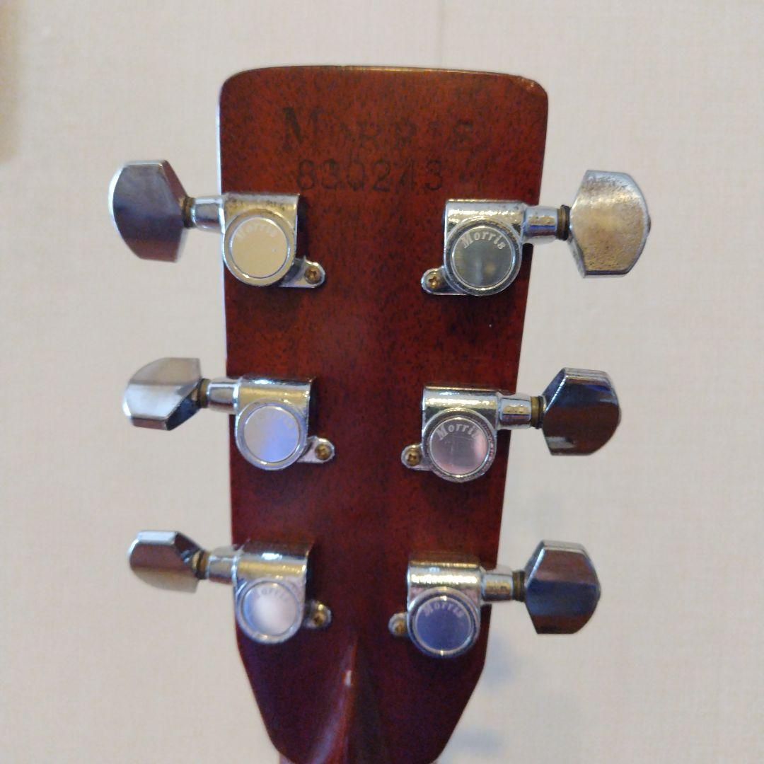 ★激鳴り　TFモーリス　W-50 スプルース単板　新品弦