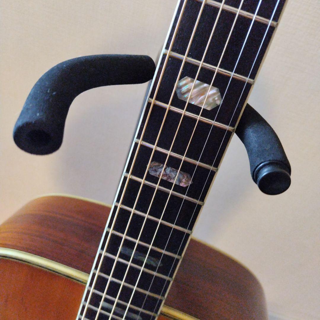 ★激鳴り　TFモーリス　W-50 スプルース単板　新品弦