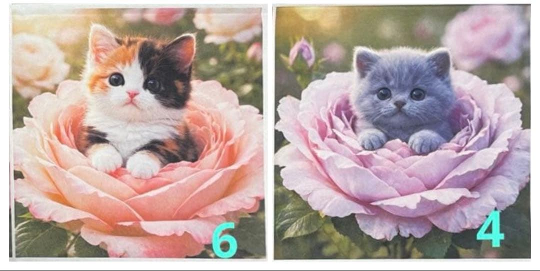 財布・ケース・小物入れ may