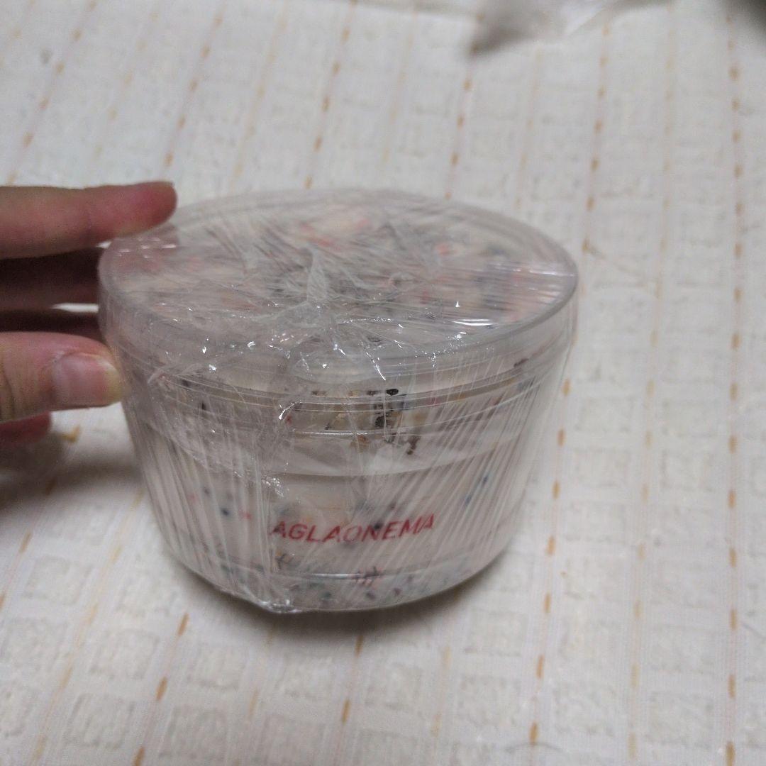 りずこ様 スライム risslime様