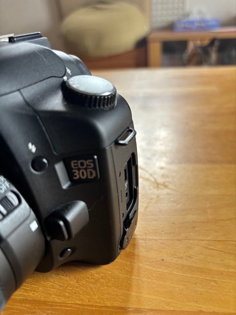 Canon EOS 30D デジタル一眼レフ カメラ