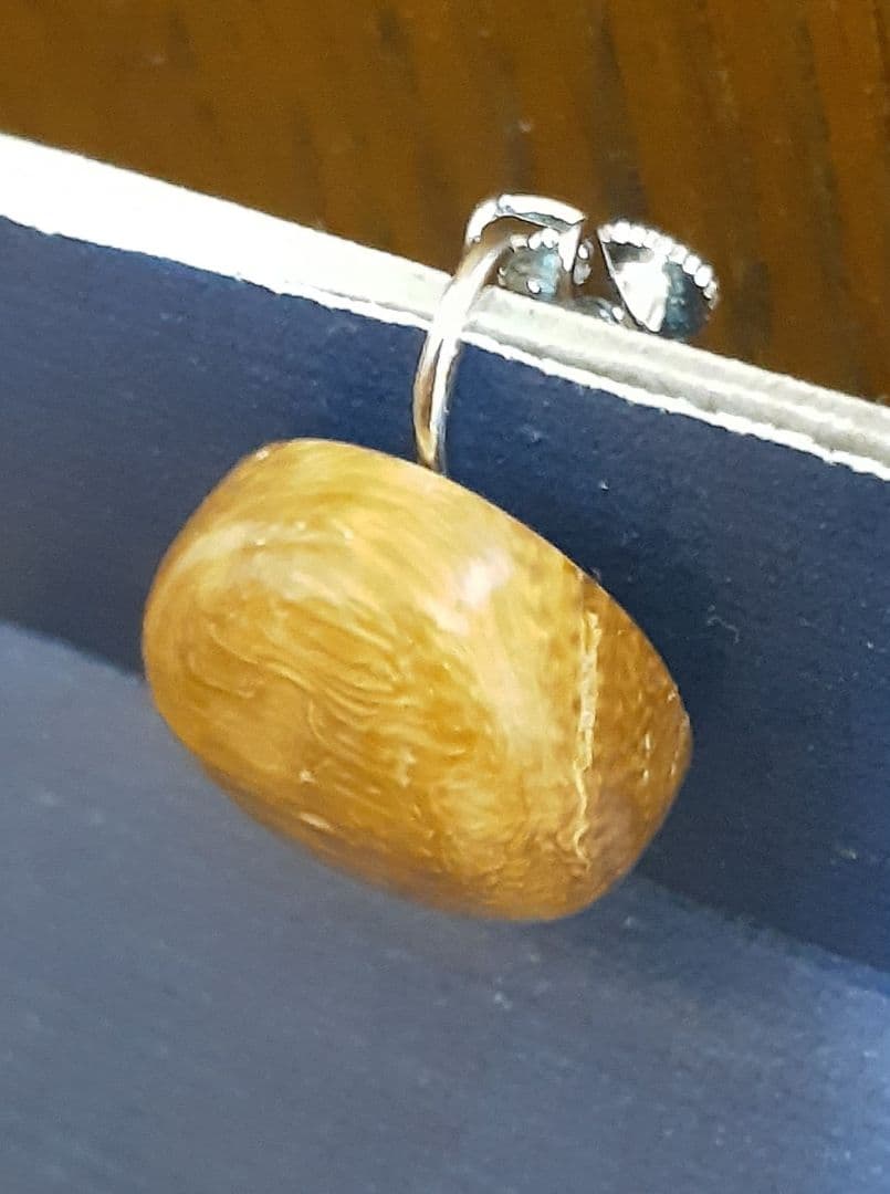 389.世界にひとつだけ！青珊瑚(レインボーコーラル)のイヤリング 希少品