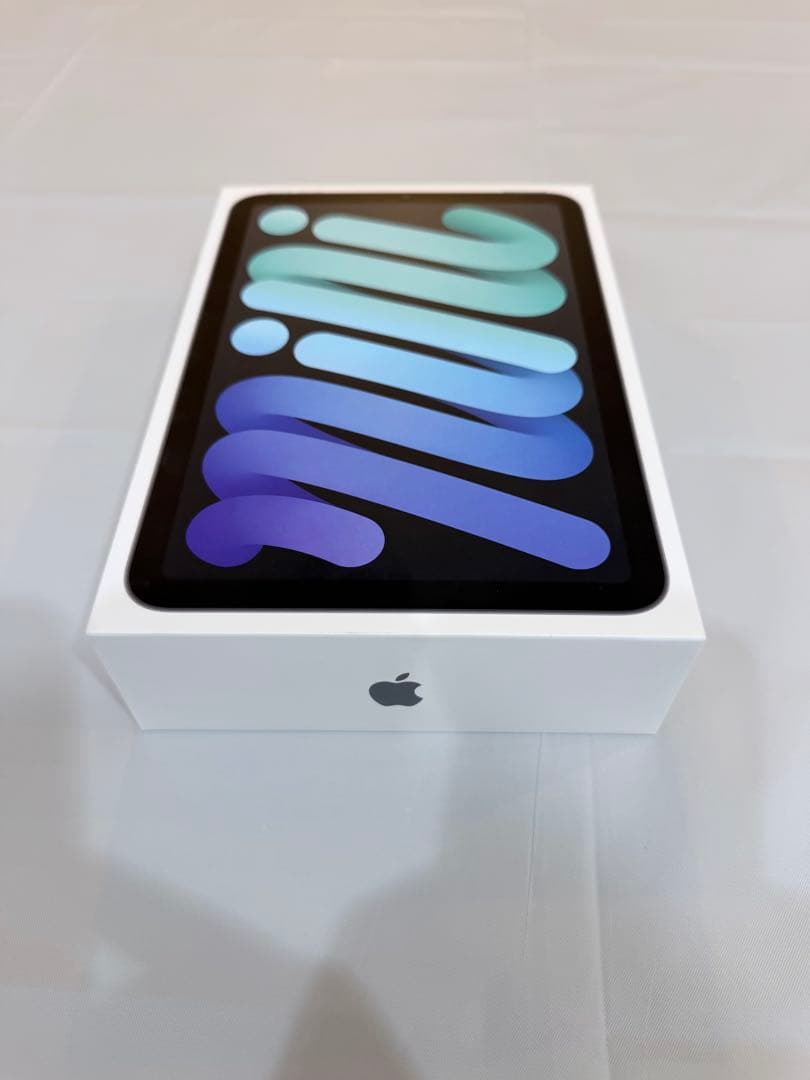 【極美品】iPad mini6 256GB SIMフリー セルラーモデル