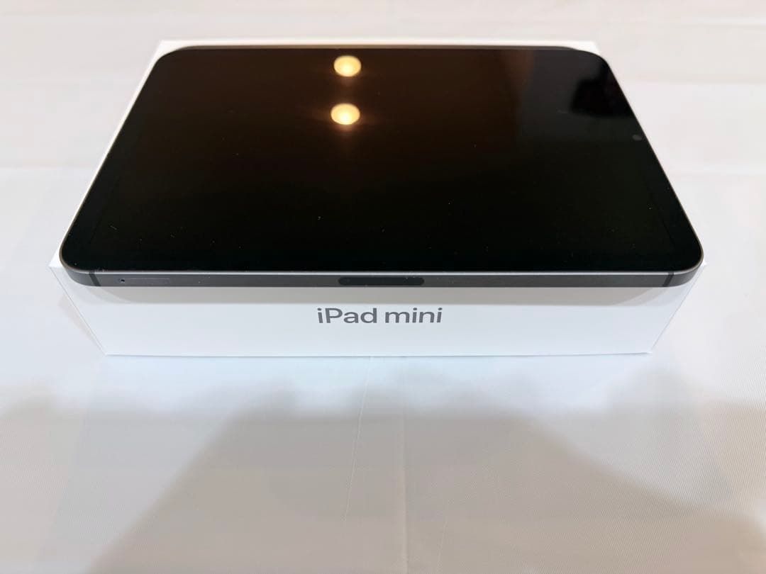 【極美品】iPad mini6 256GB SIMフリー セルラーモデル