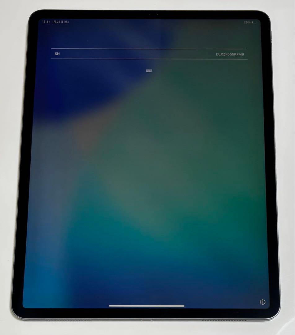 iPadPro 12.9 第4世代Wi-Fi 128GB スペースグレー【美品】