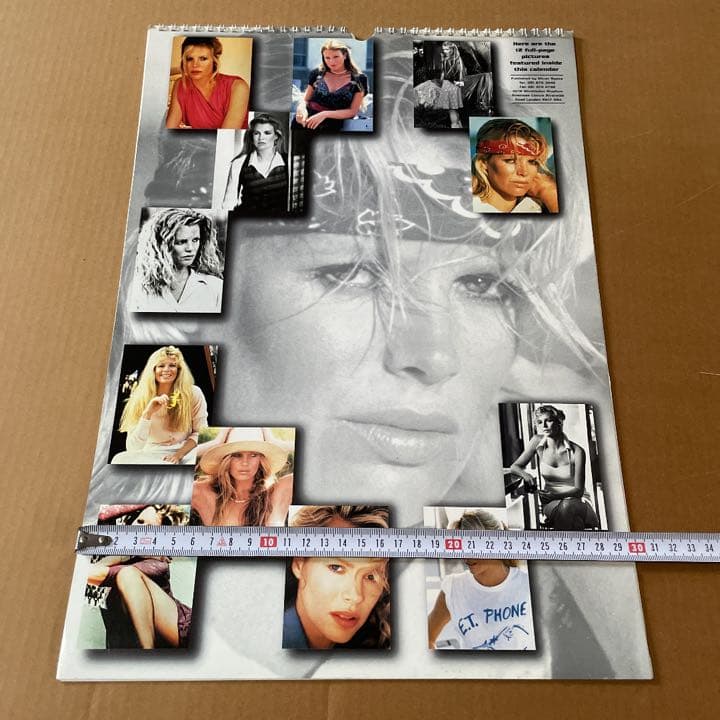 レア❗️キム・ベイシンガー　★ 1996年　カレンダー