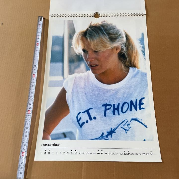 レア❗️キム・ベイシンガー　★ 1996年　カレンダー