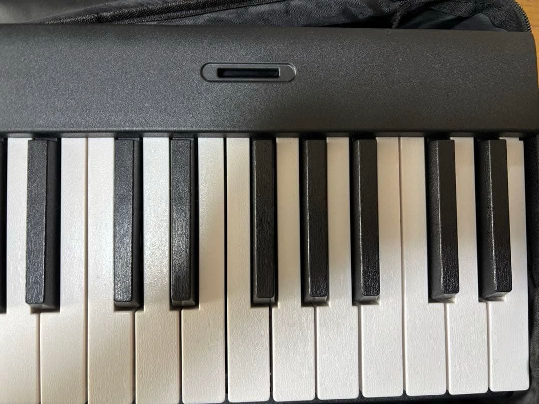 88鍵盤 電子ピアノ　折り畳み式　ペダル付き　軽量　TERENCE